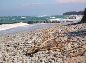 a tree branch laying on a rocky beach at Haus 1795 Stieglitz in Wustrow +34 photos