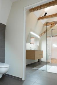 a bathroom with a toilet and a glass shower at Beautiful Penthouse - City Center in Graz