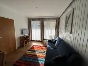 ein Wohnzimmer mit einem blauen Sofa und einem bunten Teppich in der Unterkunft Haus Kärnten in Bad Kleinkirchheim
