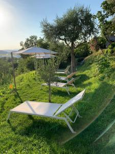 two lounge chairs and an umbrella on the grass at Relais Il Pigno in Affi