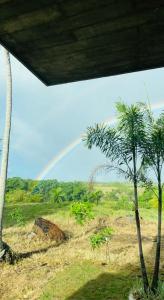 a rainbow in the sky over a field with a palm tree at Casa Carmela 