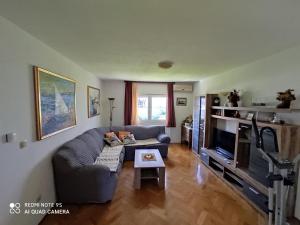 Televízia a/alebo spoločenská miestnosť v ubytovaní Apartmani Jole