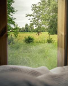 einen Blick auf ein Grasfeld aus dem Fenster in der Unterkunft Nice and Slow : Eco-responsible tiny house 