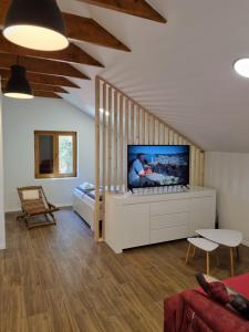 Televízia a/alebo spoločenská miestnosť v ubytovaní Apartments Jungic, Rab