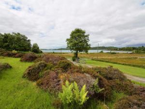 a park with a bench and a tree in a field at Coelard Farmhouse in Appin