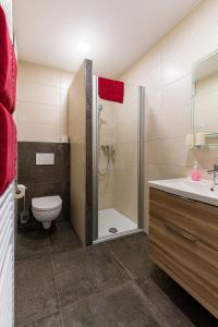La salle de bains est pourvue d'une douche, de toilettes et d'un lavabo. dans l'établissement Pension Berglehner, à Bad Griesbach im Rottal