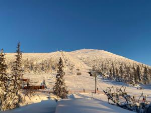 Nybyggd 8-bäddars skidstuga i Lofsdalen under vintern