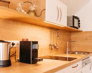 uma cozinha com um frigorífico preto e um lavatório em Ferienhof Leopold in der Grub em Ort