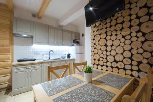 Kuchnia lub aneks kuchenny w obiekcie DW KINGA & DOMKI na Granicznej z jacuzzi