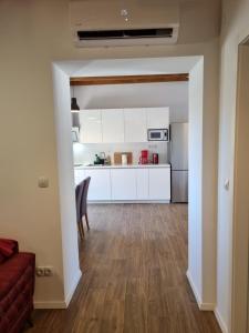Kuchyňa alebo kuchynka v ubytovaní Apartments Jungic, Rab