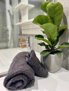 a towel sitting on a counter next to a potted plant at ZIN AND ZEN SUPERBE vue SPA SAUNA&JACUZZI in Vitrolles