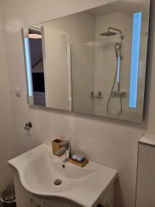 Kúpeľňa v ubytovaní Apartments Jungic, Rab