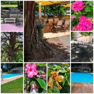 uma colagem de fotos de flores e uma árvore em Logis Hôtel Restaurant Les Cèdres em Joyeuse