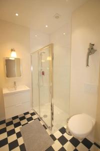 een badkamer met een douche, een toilet en een geruite vloer bij Appartement 3 chambres en plein centre ville in Luik