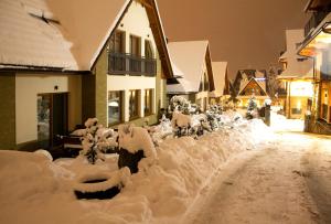 Zakopane Domki Wisienka v zime