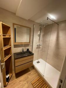 een badkamer met een wastafel en een douche bij LE LOFT et le T2, Le Mont Dore, au pied de La Dordogne in Le Mont-Dore