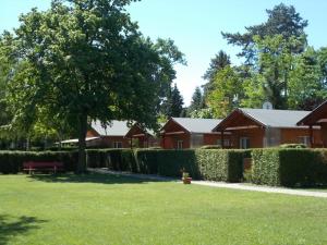 un parc avec un arbre et quelques buissons dans l'établissement Fonyód Camping & Apartman, à Fonyód