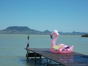 un pato de goma rosa sentado en un muelle en el agua en Fonyód Camping & Apartman, en Fonyód