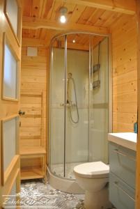 La salle de bains est pourvue d'une douche et de toilettes. dans l'établissement Zakątek DZIEWIĘĆSIŁ, à Przyborów
