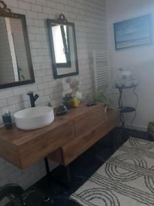 a bathroom with a sink and a mirror on a counter at L'Olivier in Beuzeville