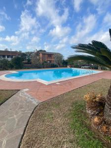 - une grande piscine dans une cour avec un palmier dans l'établissement La casa di Iole, à Casale la Cogna