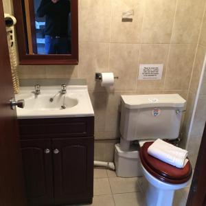 a bathroom with a sink and a toilet and a mirror at The Fullarton Park Hotel in Glasgow