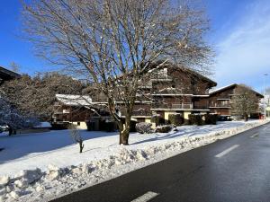 une rue enneigée avec une maison et un arbre dans l'établissement Studio Chalet des Pistes Megève, à Demi-Quartier