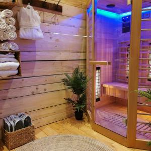 a bathroom with a wooden wall with a shower at Ferienweingut Villa Hausmann in Ellenz-Poltersdorf