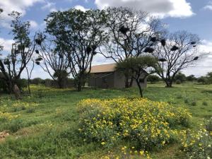 Gallery image of The Barnhouse in Hammanskraal