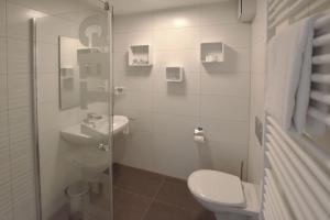 a bathroom with a toilet and a sink and a shower at Boardinghouse Henschelstraße in Munich