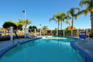 a swimming pool with palm trees in a resort at Comfort Inn Gilroy in Gilroy