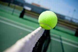 Tenis lub squash w obiekcie Hotel Panon lub w pobliżu