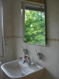 a bathroom with a sink and a window at Ferienwohnung Alter Weinberg in Saarburg
