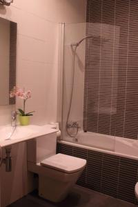 La salle de bains est pourvue de toilettes, d'un lavabo et d'une douche. dans l'établissement Apartment Plaza de la Merced, à Valence