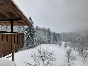 Planinarski dom Skrad v zime