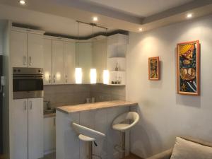 Köök või kööginurk majutusasutuses Apartman Stojanovic R