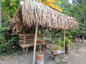 Zahrada ubytování Finca Agroturística La Sultana