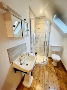 La salle de bains est pourvue d'une douche, d'un lavabo et de toilettes. dans l'établissement The Annexe at Yew Tree House, à Canterbury