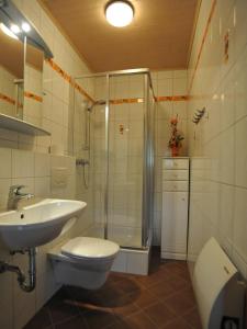 a bathroom with a shower and a toilet and a sink at Ferienhaus Nickl in Weissbriach