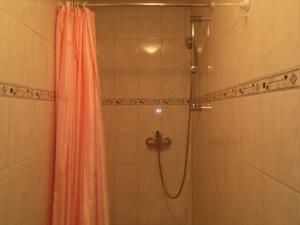 a shower with a pink shower curtain in a bathroom at Sonnenschein in Baden-Baden