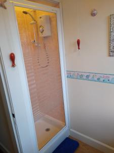 a shower with a glass door in a bathroom at Kendoon Apartment in Kippford