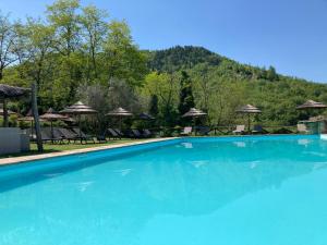 una gran piscina azul con sillas y sombrillas en Agriturismo Acero Rosso, en Civitella di Romagna