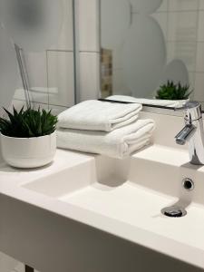 a bathroom sink with a towel and a plant on it at Ibis Styles Colmar Nord in Colmar