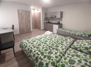 Habitación de hotel con 2 camas y cocina en Noclegi URAN en Sufczyn