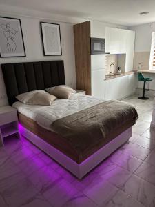 1 dormitorio con 1 cama grande con iluminación púrpura en Exclusiv Room en Iaşi