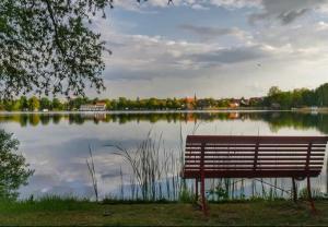 una panchina seduta di fronte a un lago di Ferien direkt am Wasser mit Hund a Krakow am See