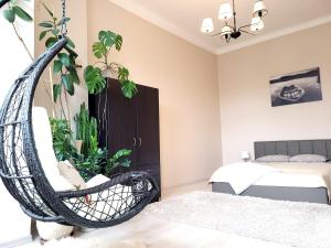 - une chambre avec une balançoire et une plante dans l'établissement Cozy 2 room apartment in the Oldtown of Klaipeda, à Klaipėda