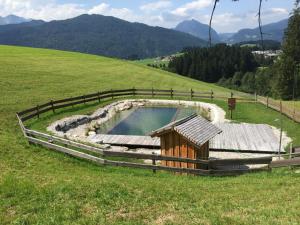 una piscina en medio de un campo de hierba en Sonnleit'n Zimmer en Abtenau