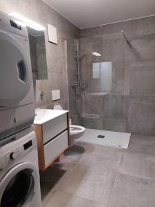 y baño con ducha, aseo y lavamanos. en Appartement 2p1/2 pour couple ou famille en Romont