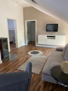 a living room with a couch and a tv at Ferienwohnung Schantz in Roßdorf